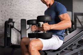 🏋️ Treino de Ginásio / Musculação